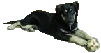 Ben Ben