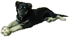 Ben Ben